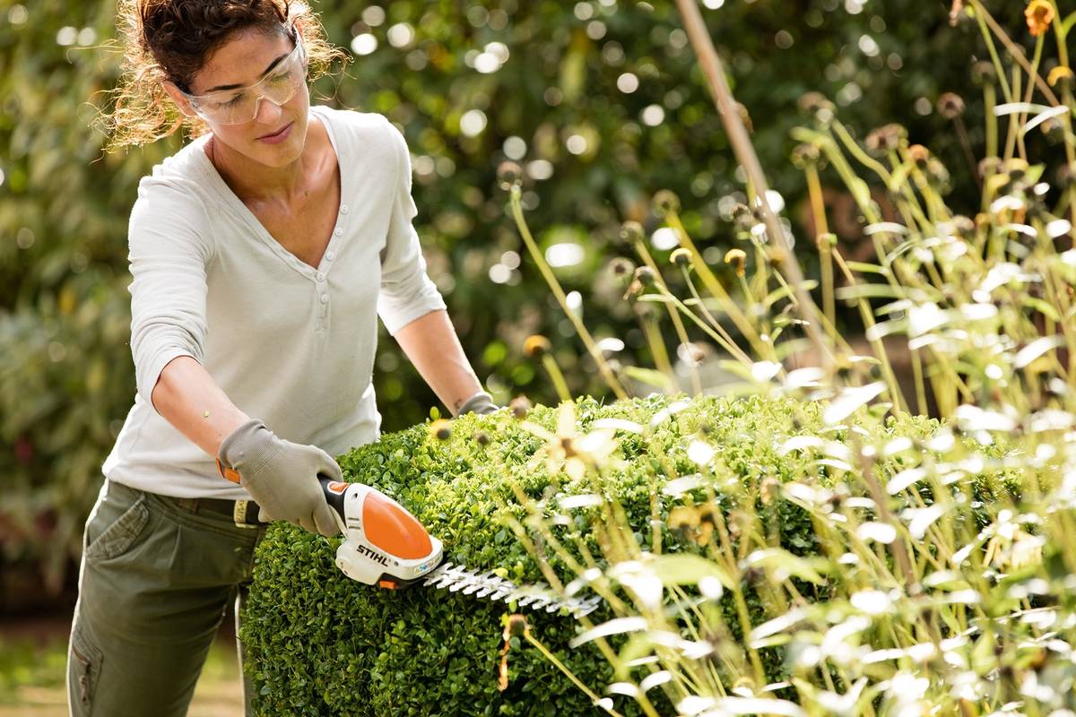 Herramientas útiles para jardinería en el hogar