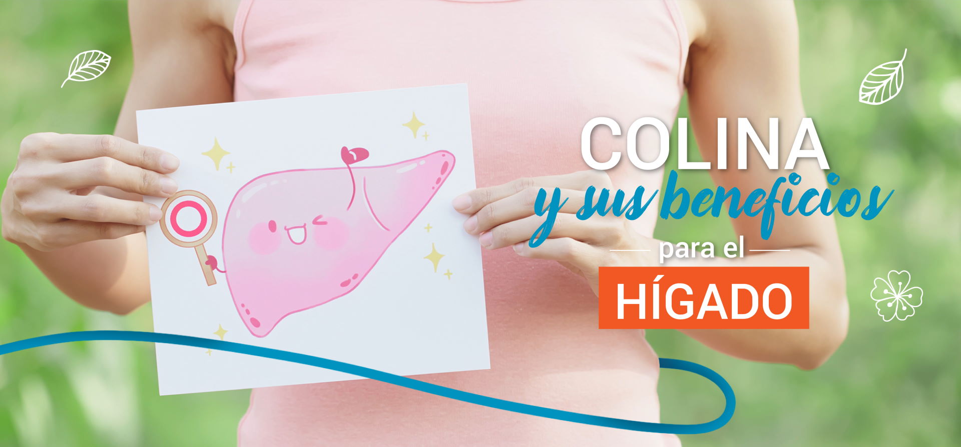Colina y sus beneficios para el hígado