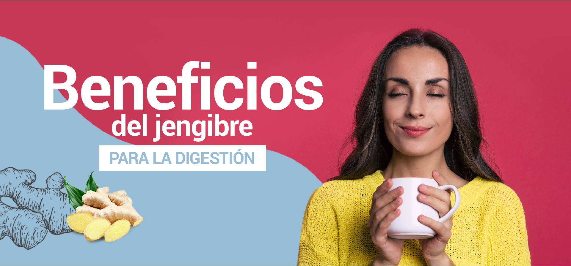 Beneficios del jengibre para la digestión