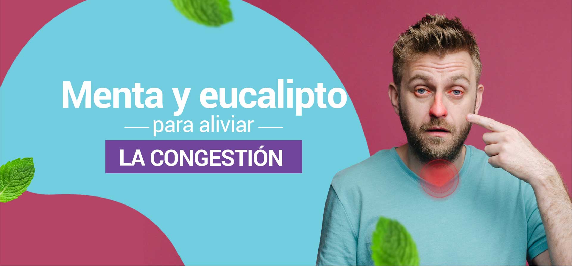 Menta Eucalipto para aliviar la Congestión