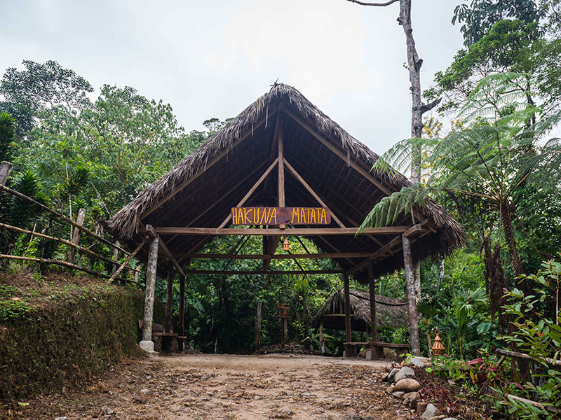 Hakuna Matata Amazon Lodge, Napo