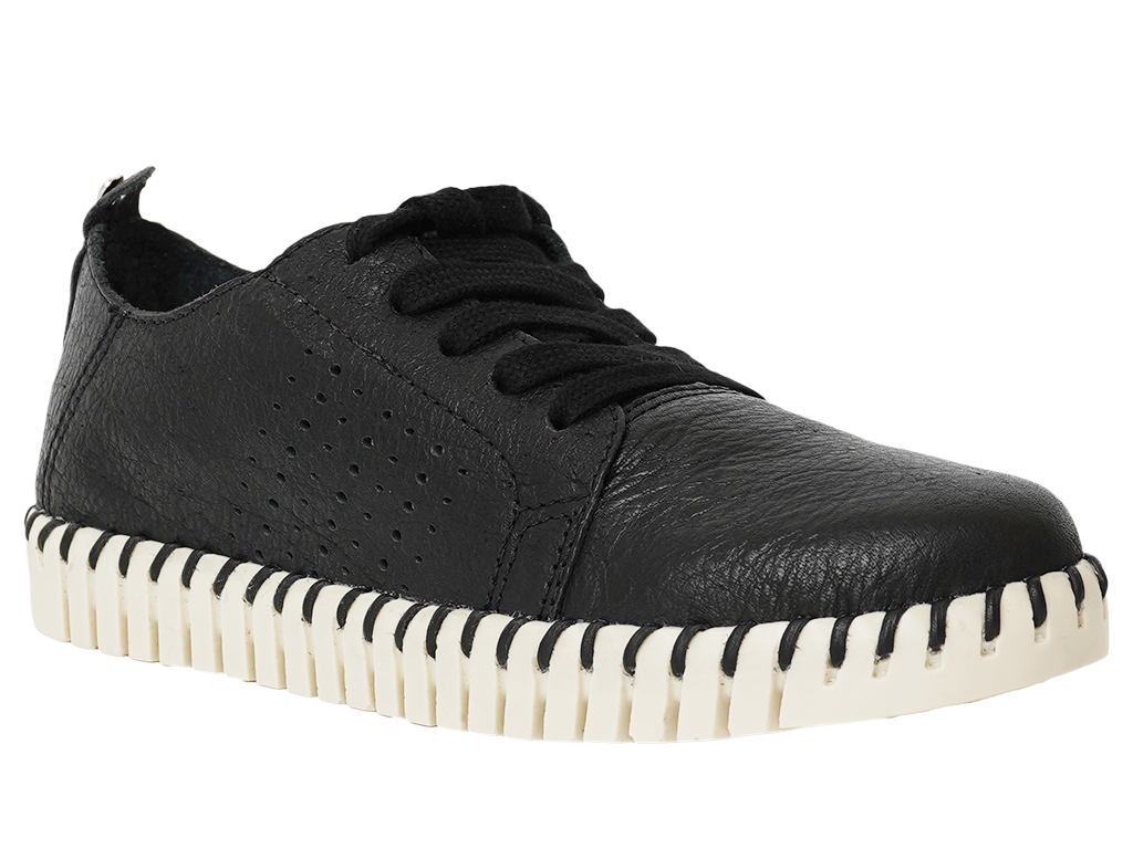 Zapato Cerrado Cuero Negro
