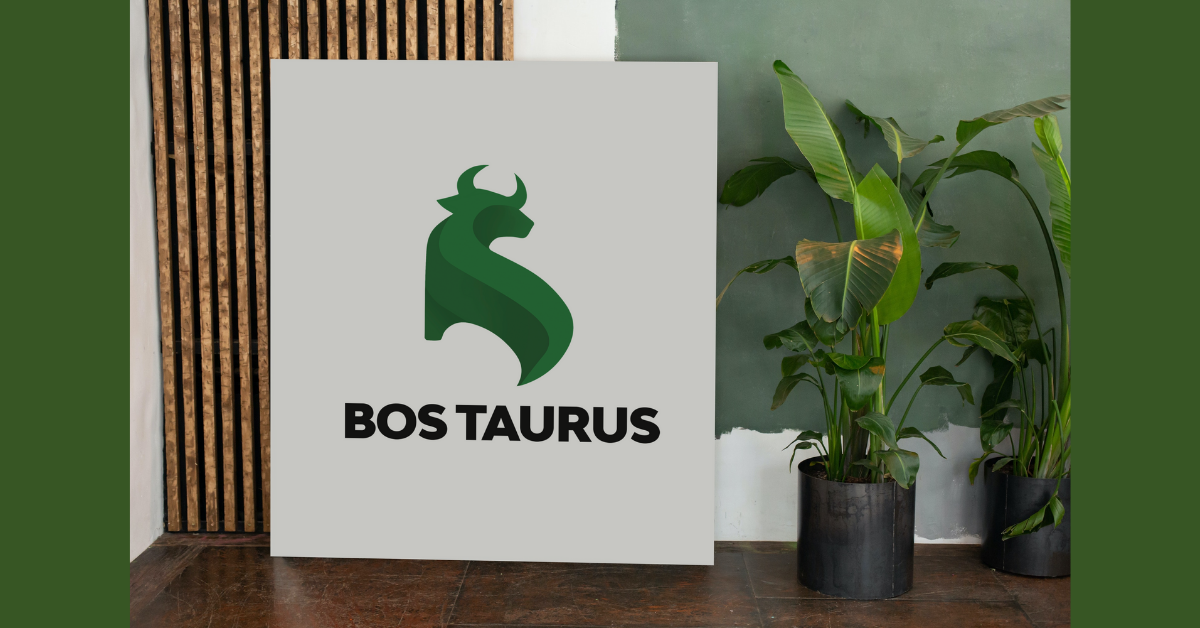 Bos Taurus  Taladradora / Atornilladora a Batería BSZ18