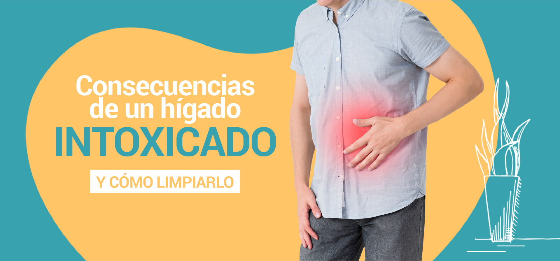 Concecuencias de un Hígado Intoxicado y como limpiarlo