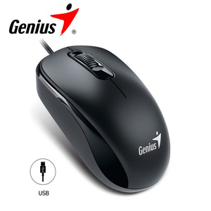 MOUSE GENIUS USB DX 110 NEGRO