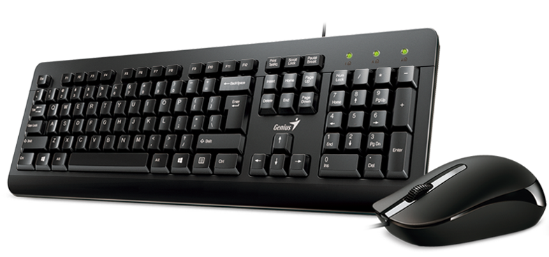 TECLADO Y MOUSE GENIUS KM 160 USB NEGRO  KIT CLASICO