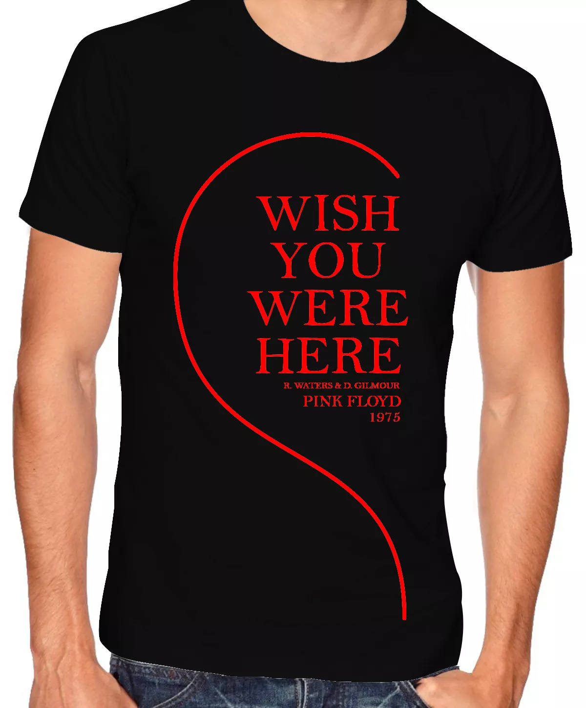Camiseta Homenaje Pink Floyd: Wish you were here