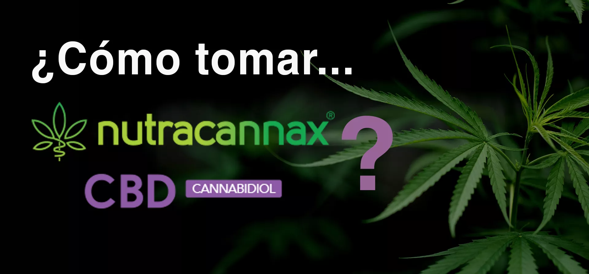 ¿Cómo tomar Nutracannax, existe una dosis de CBD?