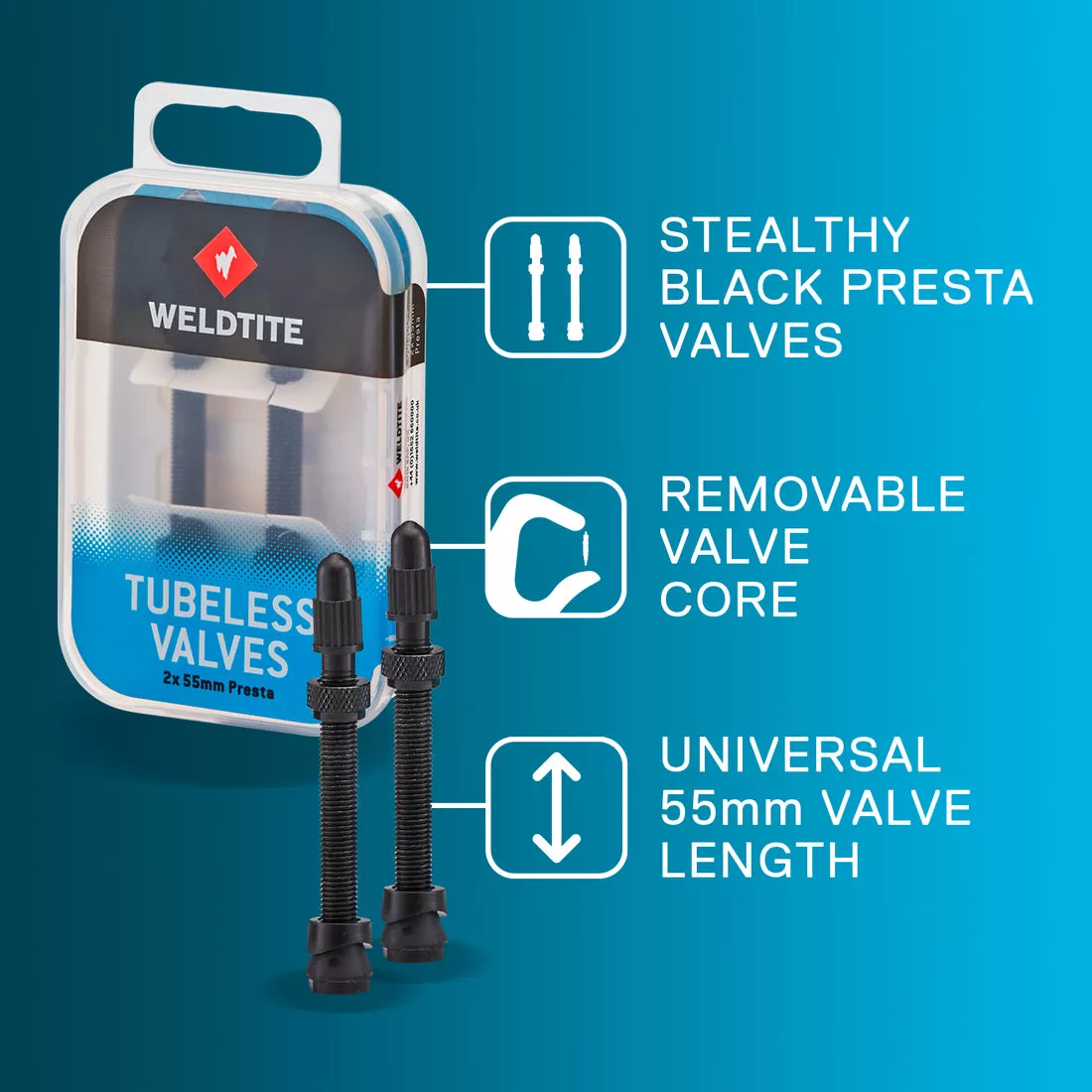TUBELESS VALVE KIT 2 X 55MM