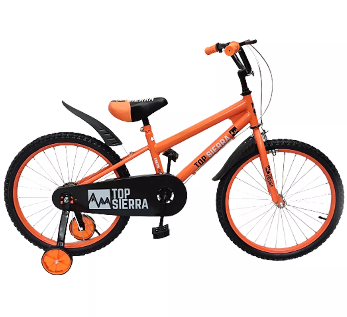 GBC bicicleta Top Sierra 20”