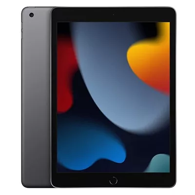 Apple 10 2 inch iPad Wi Fi   9a generacion   tableta   64 GB   10 2  IPS  2160 x 1620    gris espacio