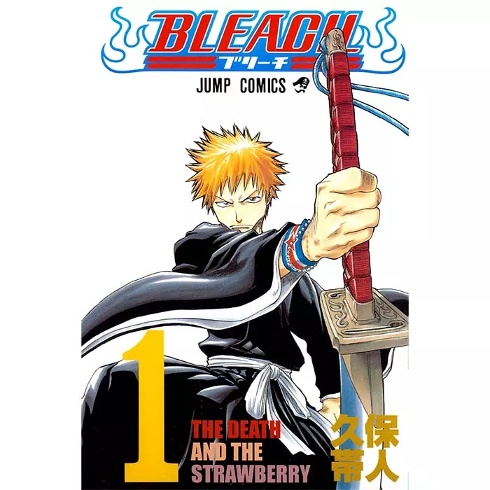 Bleach Manga Tomo 1