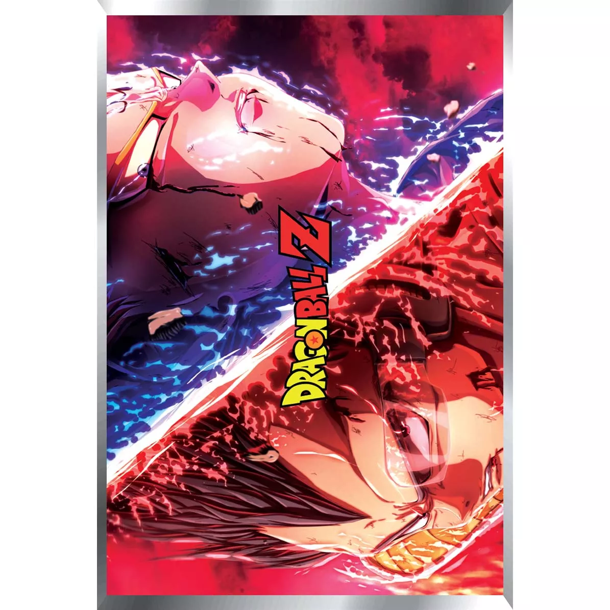 Dragon Ball Posters Metalizados 48 x 33cm M1