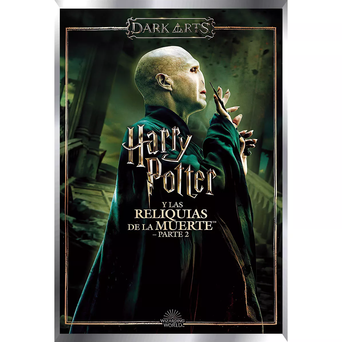 Harry Potter Posters Metalizados 48 x 33cm M2