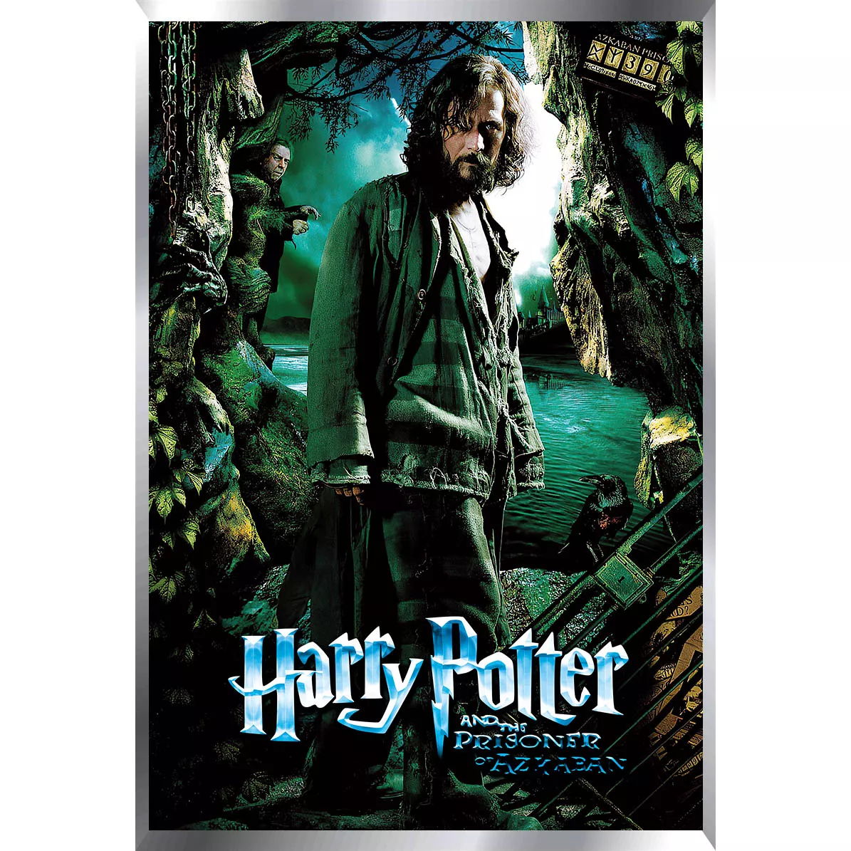 Harry Potter Posters Metalizados 48 x 33cm M2