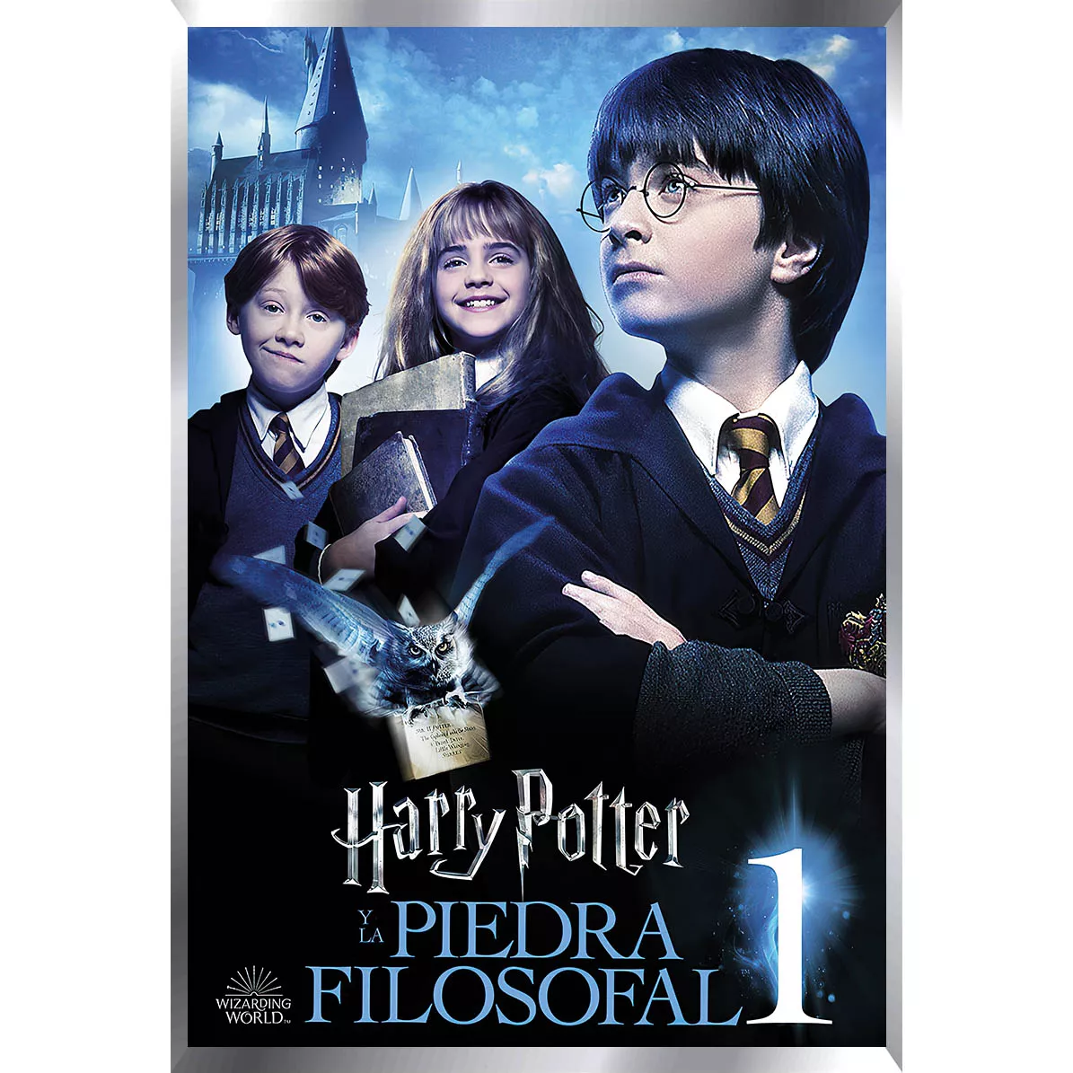 Harry Potter Posters Metalizados 48 x 33cm M3