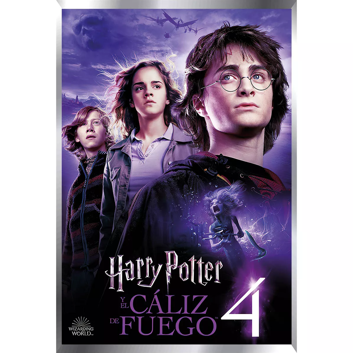 Harry Potter Posters Metalizados 48 x 33cm M3