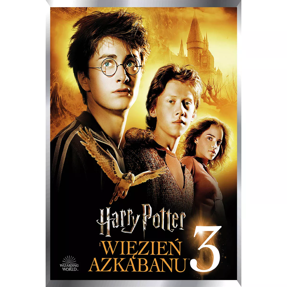 Harry Potter Posters Metalizados 48 x 33cm M3