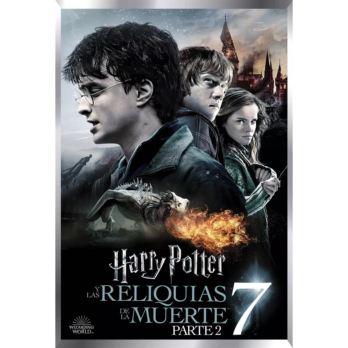 Harry Potter Posters Metalizados 48 x 33cm M4