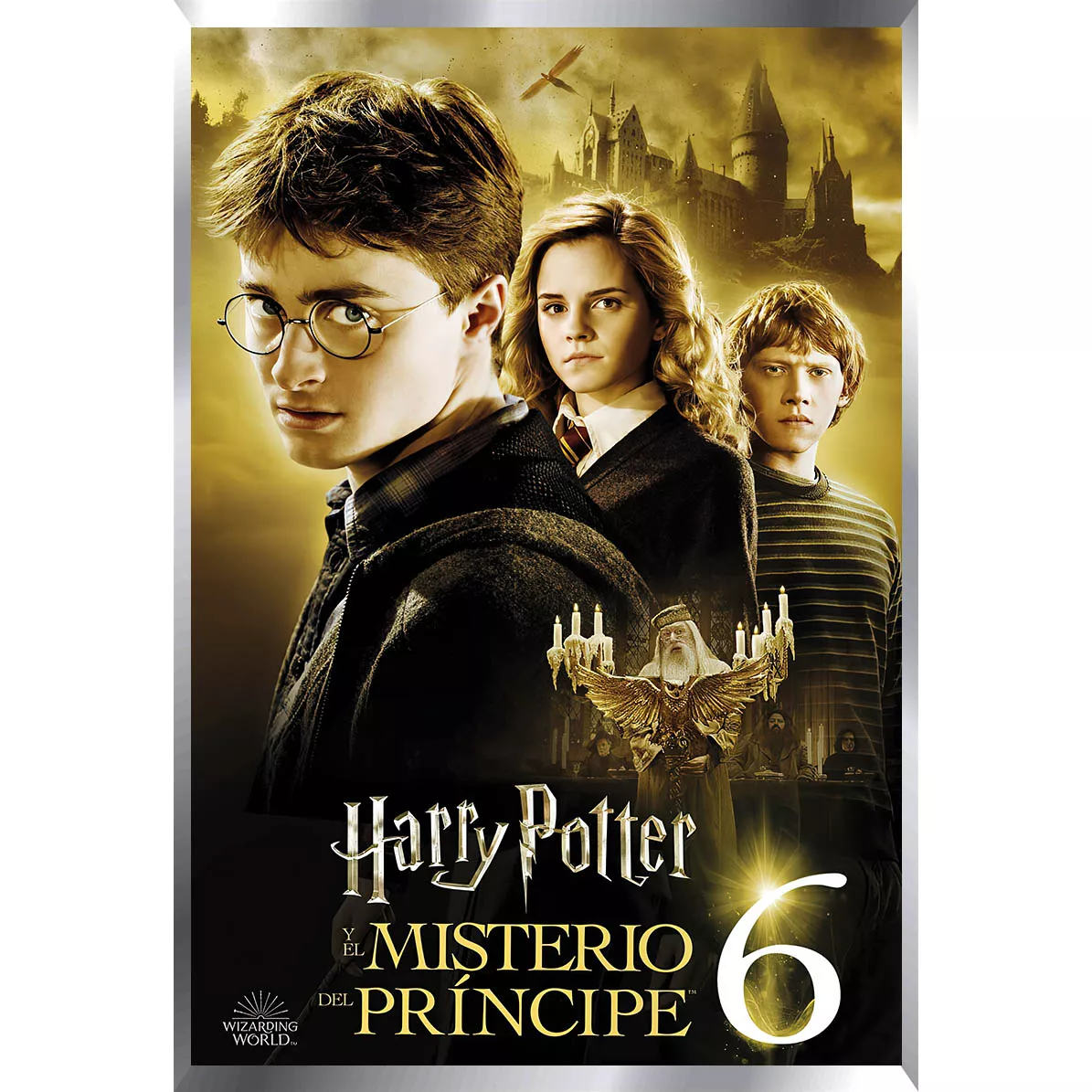 Harry Potter Posters Metalizados 48 x 33cm M4